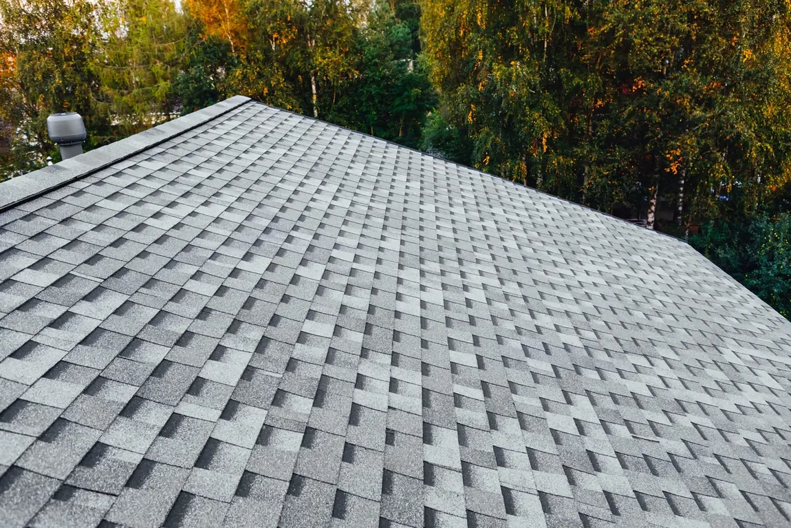 A clean shingle roof against fall trees